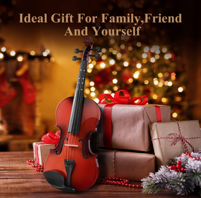 Why the Eastar 1/2 Violin Is a Top Choice for Beginner Students & Young Musicians