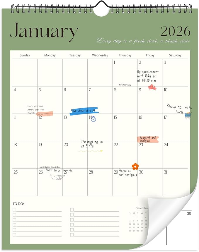 Wall Calendar 2026-2027, 18 Month Calendar from January 2026 to June 2027 14.5" x 11.8" Large Desk Calendar with Twin-Wire Binding for Home Office Planning Personal Organisers, Simple Style