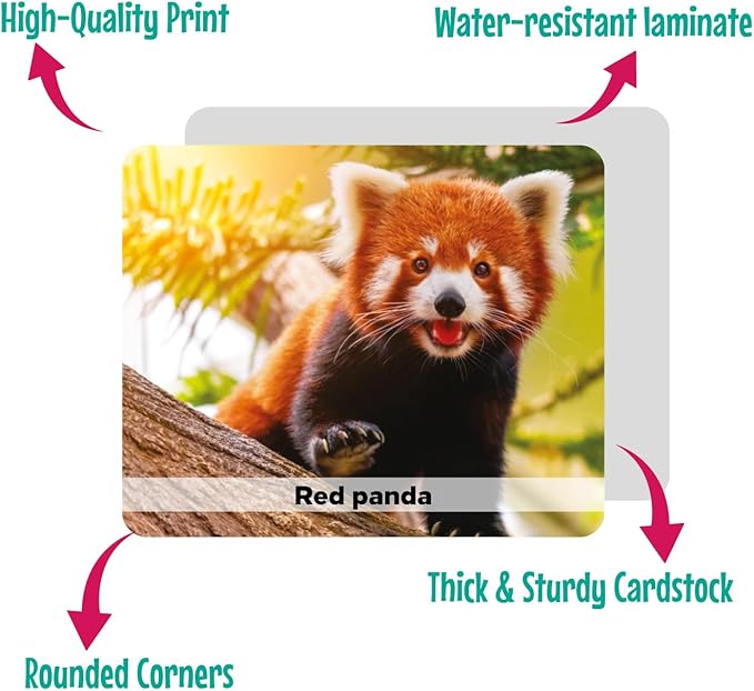 Menique Wild Animals Memory Matching Game – 80 Cards (40 Pairs) with Real Photos – Includes Educational Booklet with Animal Facts – Fun & Cognitive Game for Kids and Adults