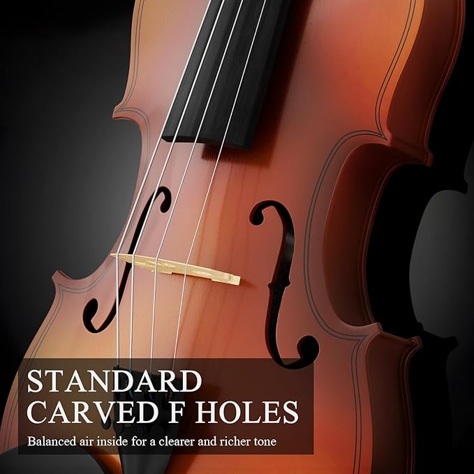 4/4 Beginner Violin Kit for Adults, Complete Full Size Violin Set with Portable Case, Bow, Rosin