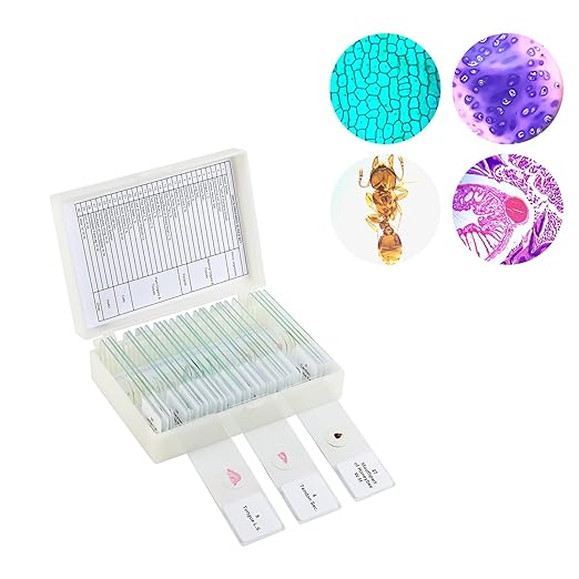 30 Microscope Slides with Specimens,Prepared Microscope Slides for Kids,Glass Slides for Microscope,Prepared Slides for Kids Microscope,Microscope Slide Preparation Kit for Biology Science Classes