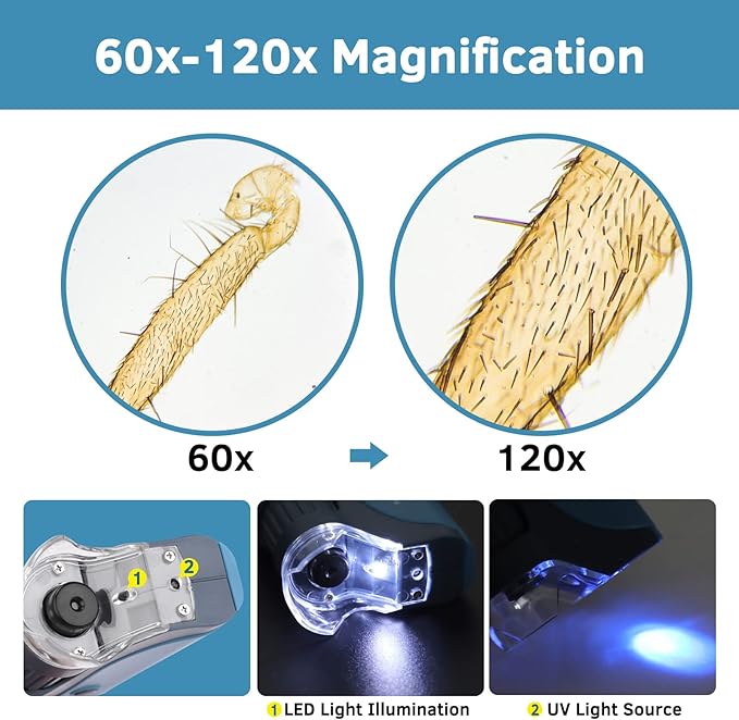 Pocket Microscope, 60x-120x Handheld Mini Microscope Kids with LED Lights, 5 Slides Specimens, BEBANG Portable Microscope for Kids Student Adults Microbiological Observation Lab Study, Educational Kit