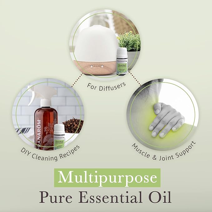 Pranarom USDA Certified Organic Clove Essential Oil (5ml), 100% Pure Undiluted Therapeutic Grade from Sri Lanka & Madagascar for Aromatherapy, Diffuser, Immune Support, DIY Cleaning, Warm Scent