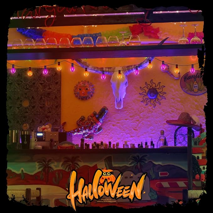 25FT Outdoor Halloween String Lights, G40 Outdoor Halloween Decorations Light with 27 LED Shatterproof Orange Purple Globe Lights(2 Spare), Hanging Patio Lights for Holiday Balcony Backyard Party