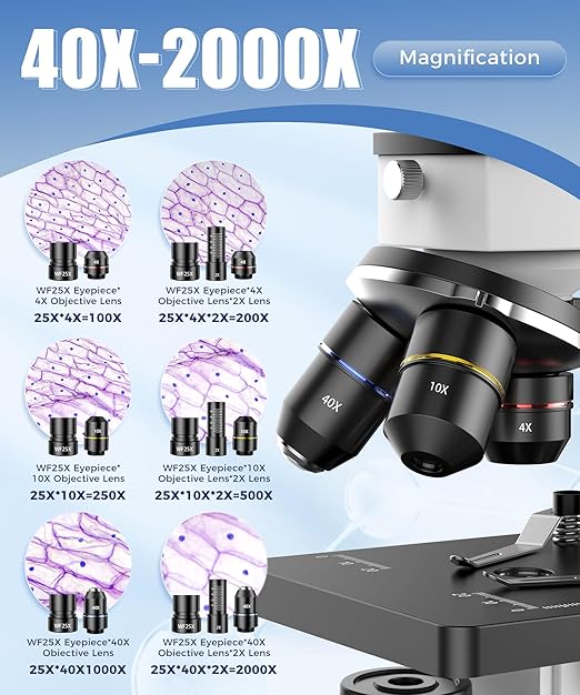 Compound Microscope for Adults & Kids - 100X-2000X High-Power Biological Microscope for Students, School Lab & Home Education, with Slides Set & Phone Adapter (White)