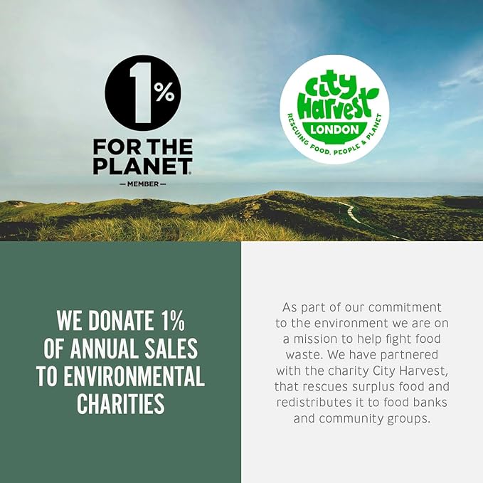 BLACK + BLUM Insulated Bottle Bag - Made with Recycled PET and BPA Free - Bottle Bag for On The Go, Slate