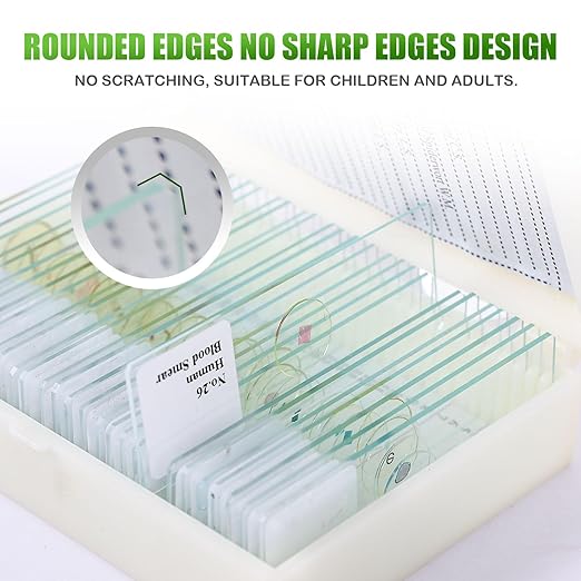 120 Microscope Slides with Specimens, Plant, Insect, Animal, Algae Slide Set for Biological Science Laboratory Basic Biological Science Education