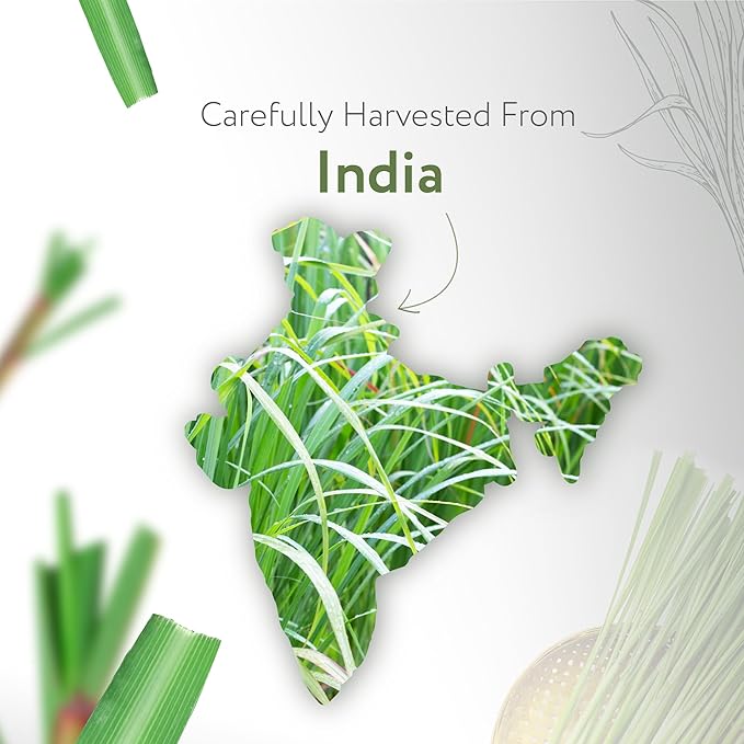 HBNO Organic Lemongrass Essential Oil - Huge 4 oz (120ml) Value Size - USDA Certified Organic Lemongrass Essential Oil, Perfect for Aromatherapy, Soap Making, DIY, Diffuser