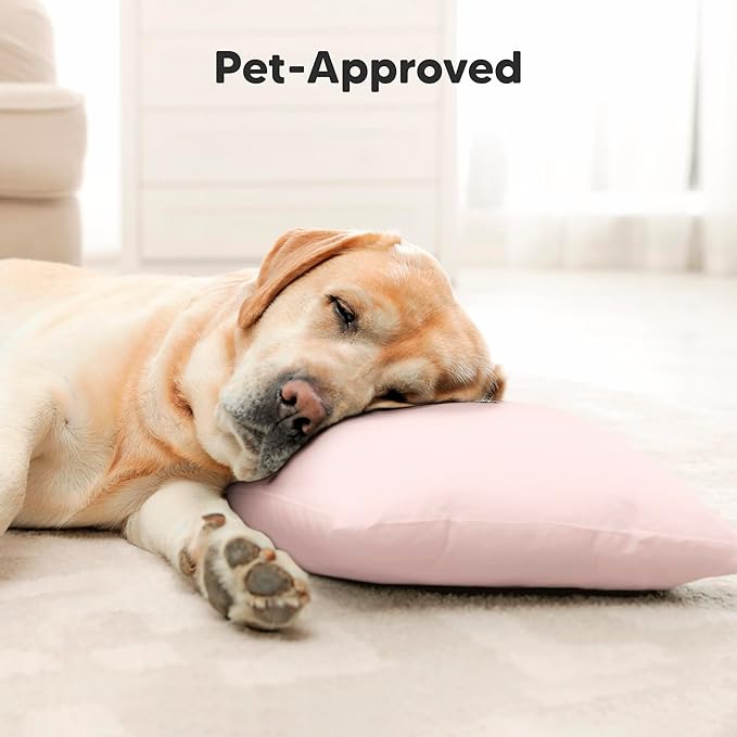 Toddler Pillow with Pillowcase - 10x18 My Little Dreamy Kids Travel Bed Pillows for Sleeping, Organic Cotton Small Pillowcase, Soft & Breathable, Machine Washable, Toddlers 2-5 Years Old (Mist Pink)