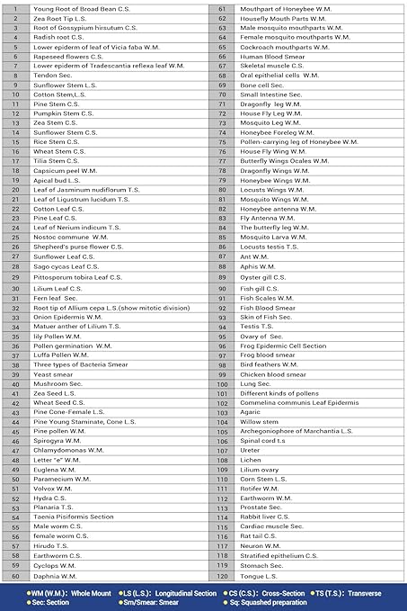 120 Microscope Slides with Specimens for Kids, Prepared Microscope Slides for Kids Microbiology, Prepared Microscope Slides for Adults