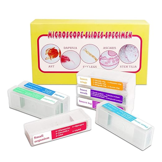 35PCS Prepared Microscope Slides with 7 Types Specimens, Insect/Plant Glass Sample Slide for Kids Adults Family Preschool Education Scientific Enlightenment