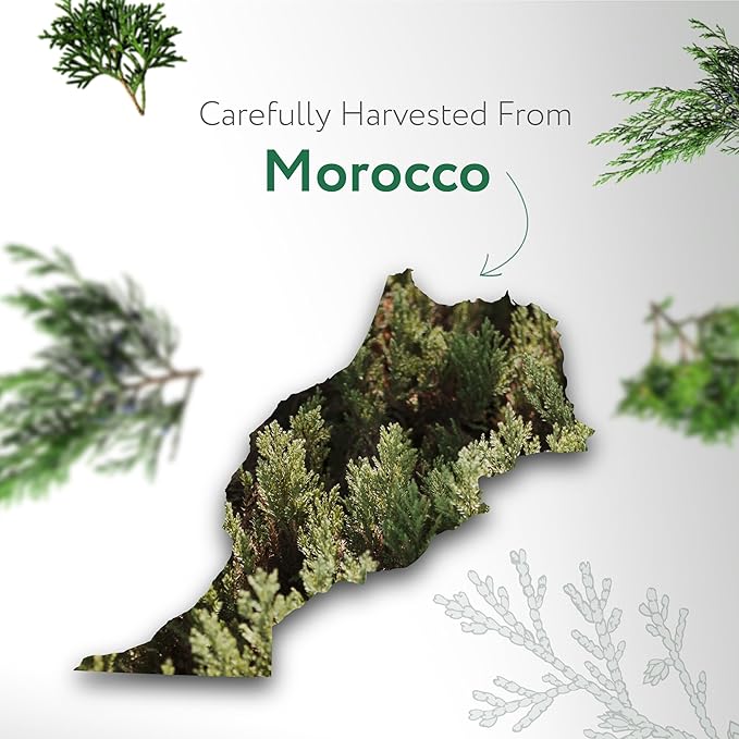 HBNO Organic Cedarwood Essential Oil - Huge 4 oz (120ml) Value Size - USDA Certified Organic Cedarwood Essential Oil for Aromatherapy, Soap Making, DIY, Fragrances, Diffuser.