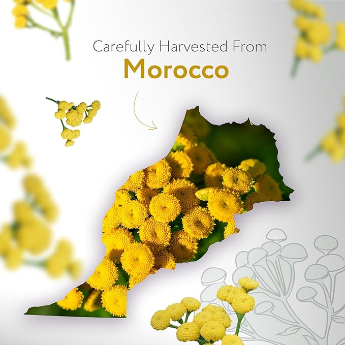 HBNO USDA Certified Organic Blue Tansy Essential Oil - 1/3 OZ (10 ml) Travel Size - Perfect for Aromatherapy, DIY, Candle Making, Soap Making, Diffusers - Blue Tansy Essential Oils