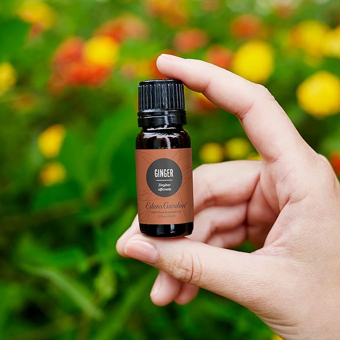 Edens Garden Ginger Essential Oil- 100% Pure Premium Grade, Undiluted, Natural, Therapeutic, Aromatherapy, The Best for Diffuser, Skin, Candle, Kid Safe 10 ml (.33 fl oz)