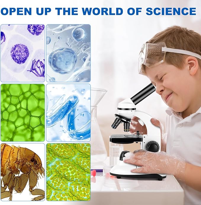 Microscope for Adults and Kids, Science School Laboratory Home Education Biology, 40-2000X High Definition,Easy to Operate,with Phone Holder 10 Specimen Slides 100 Coverslips and Bag for Student