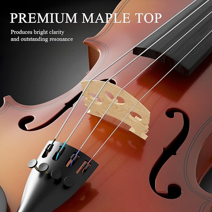 4/4 Beginner Violin Kit for Adults, Complete Full Size Violin Set with Portable Case, Bow, Rosin, Natural