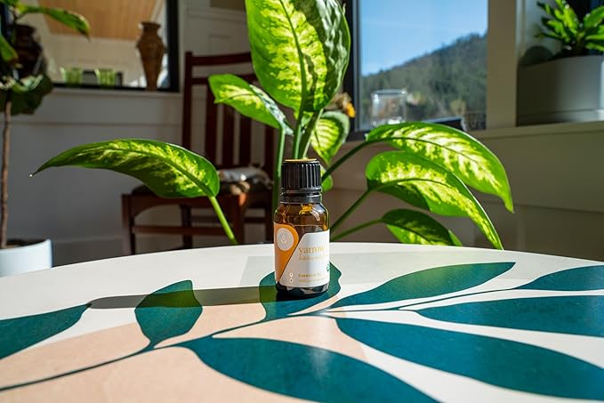 Aromatics International Premium Organic Yarrow Essential Oil 5ml | 100% Pure Essential Oil for Diffusion & Aromatherapy