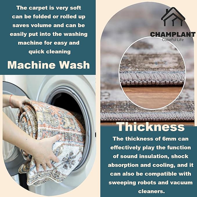 3'x5' Light Cyan and Light red Vintage Washable Thin Area Rug Traditional Floor Cover Foldable Indoor Distressed Non Slip Carpet Floral Print Mat Bedroom Living Room Bathroom