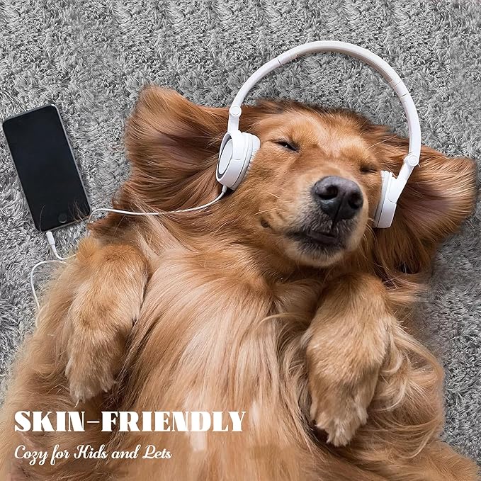 4x6 Area Rug for Living Room: Fluffy Shag Soft Washable Rugs Fuzzy Plush Indoor Carpet for Bedroom Nursery Playroom Dorm Kids Girls Boys Room (Grey, 4'x6')